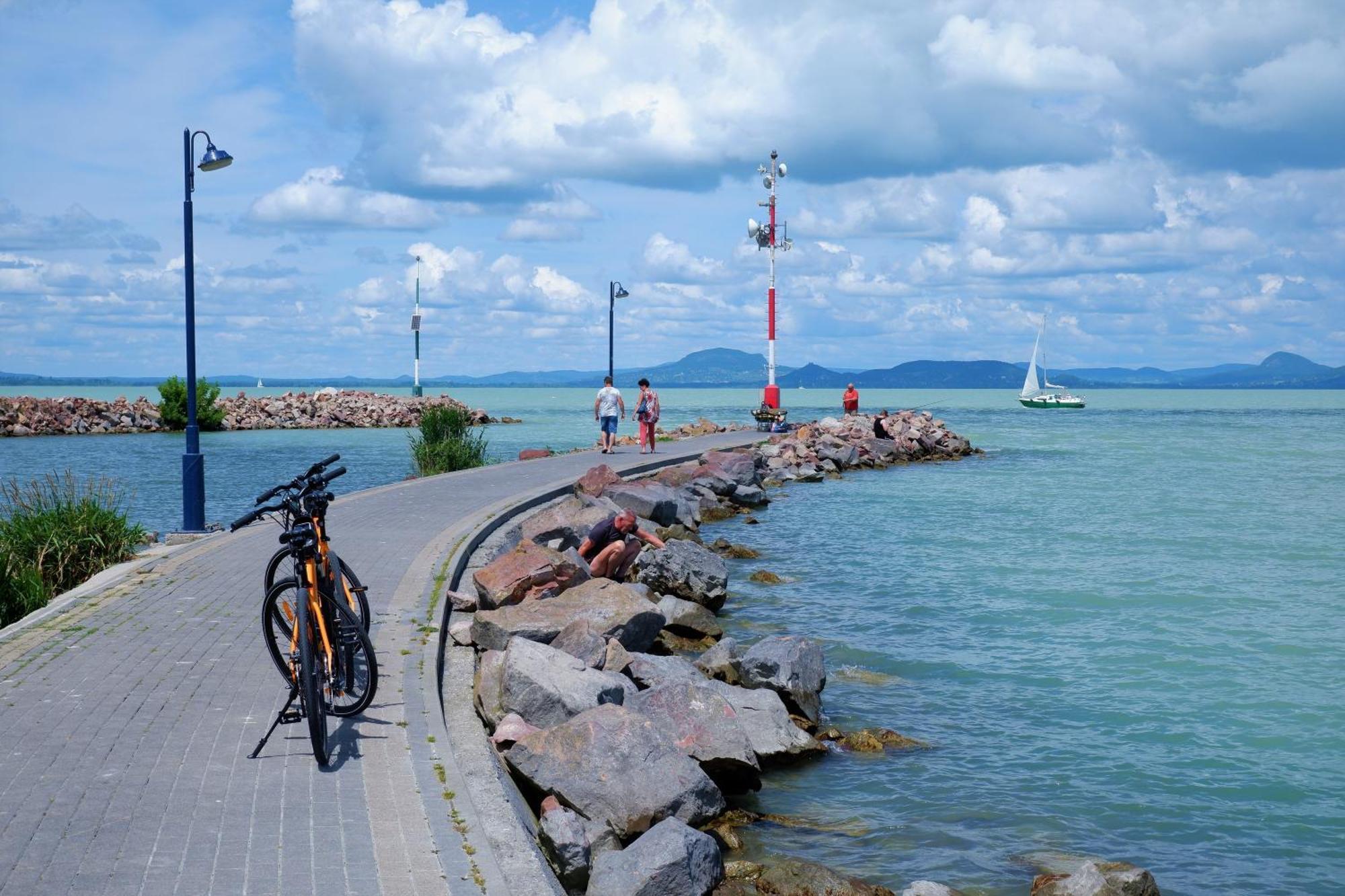 Lake Side Luxury Steps To The Lake Lela - Happy Rentals 발라톤엘 외부 사진